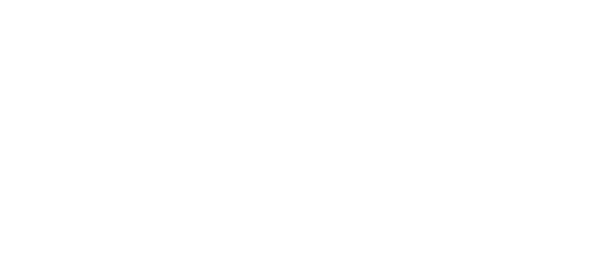 智元